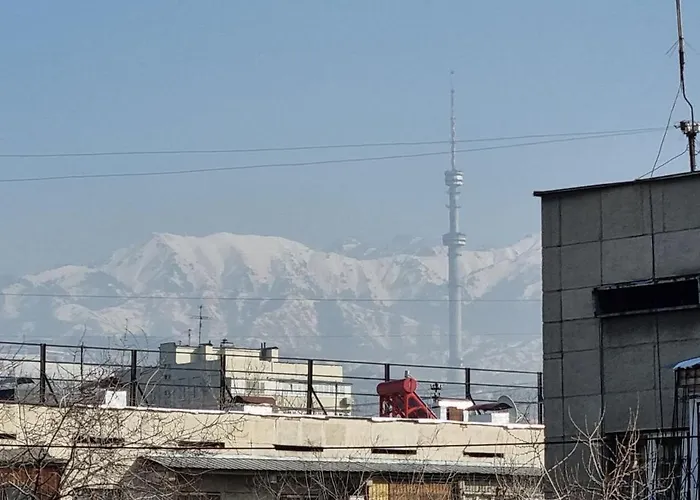Almaty Apartment 76